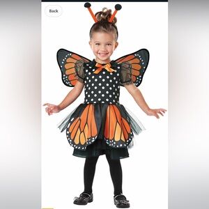 Butterfly Costume